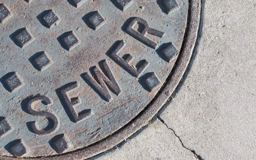 Signs Your Sewer Is Blocked (& What To Do)