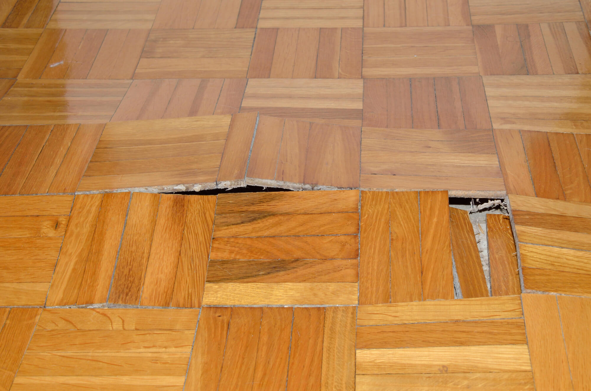 Destruction of Parquet in from long term water damage