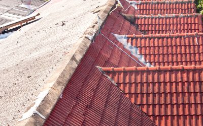 Roof Replacement Trends in Brisbane