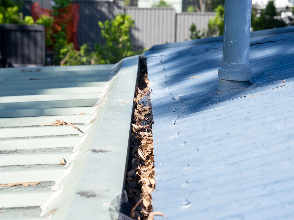 Clogged roof gutter with leaves and debris – plumber Brisbane gutter cleaning service.