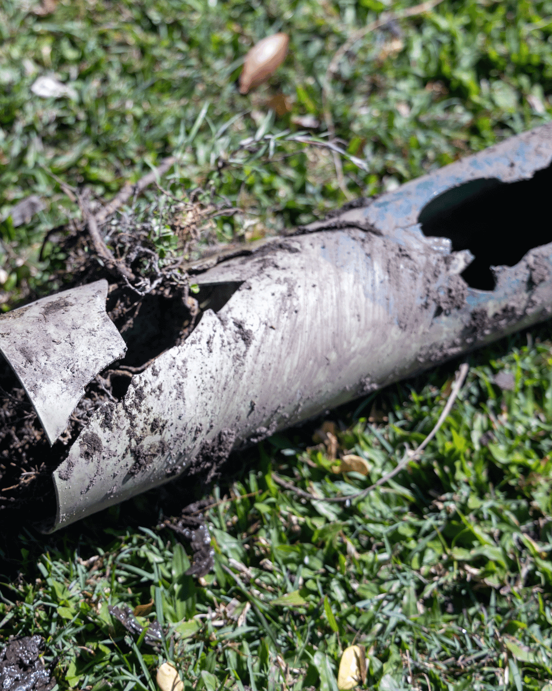 Burst pipes Brisbane emergency repair showing cracked pipe with tree root intrusion.